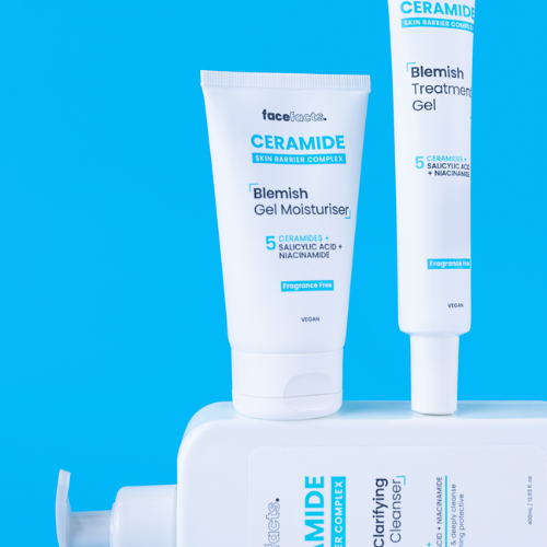 Face Facts Ceramide Blemish Treatment Gel